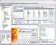 EMS SQL Manager 2005 for InterBase/Firebird screenshot